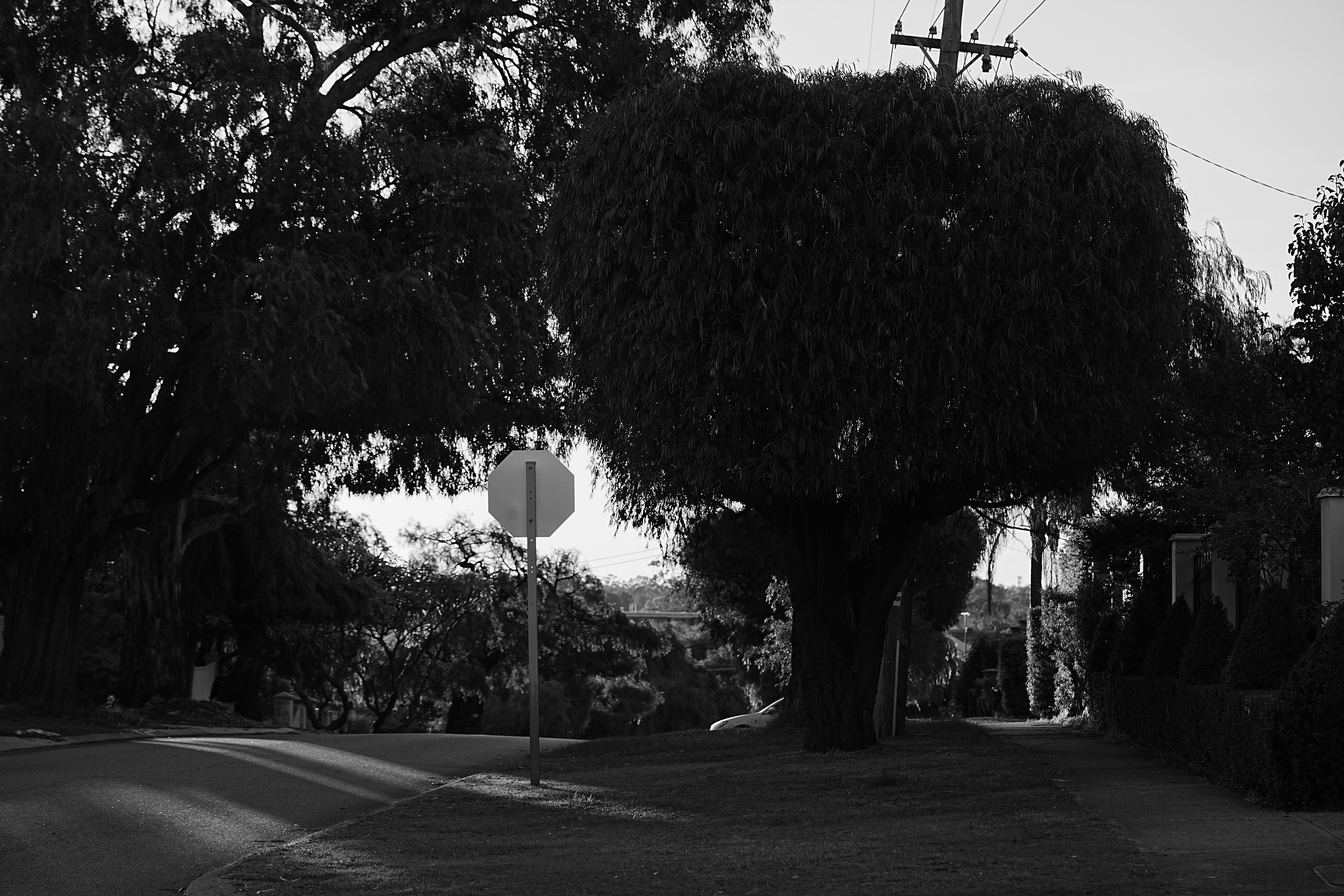 Day Twenty-one first submission