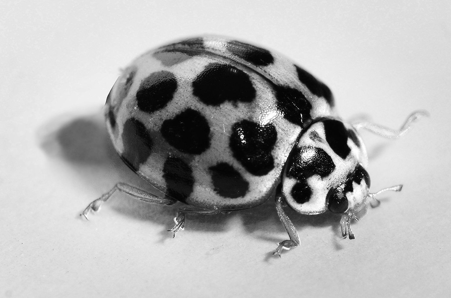Day Twenty-two first submission