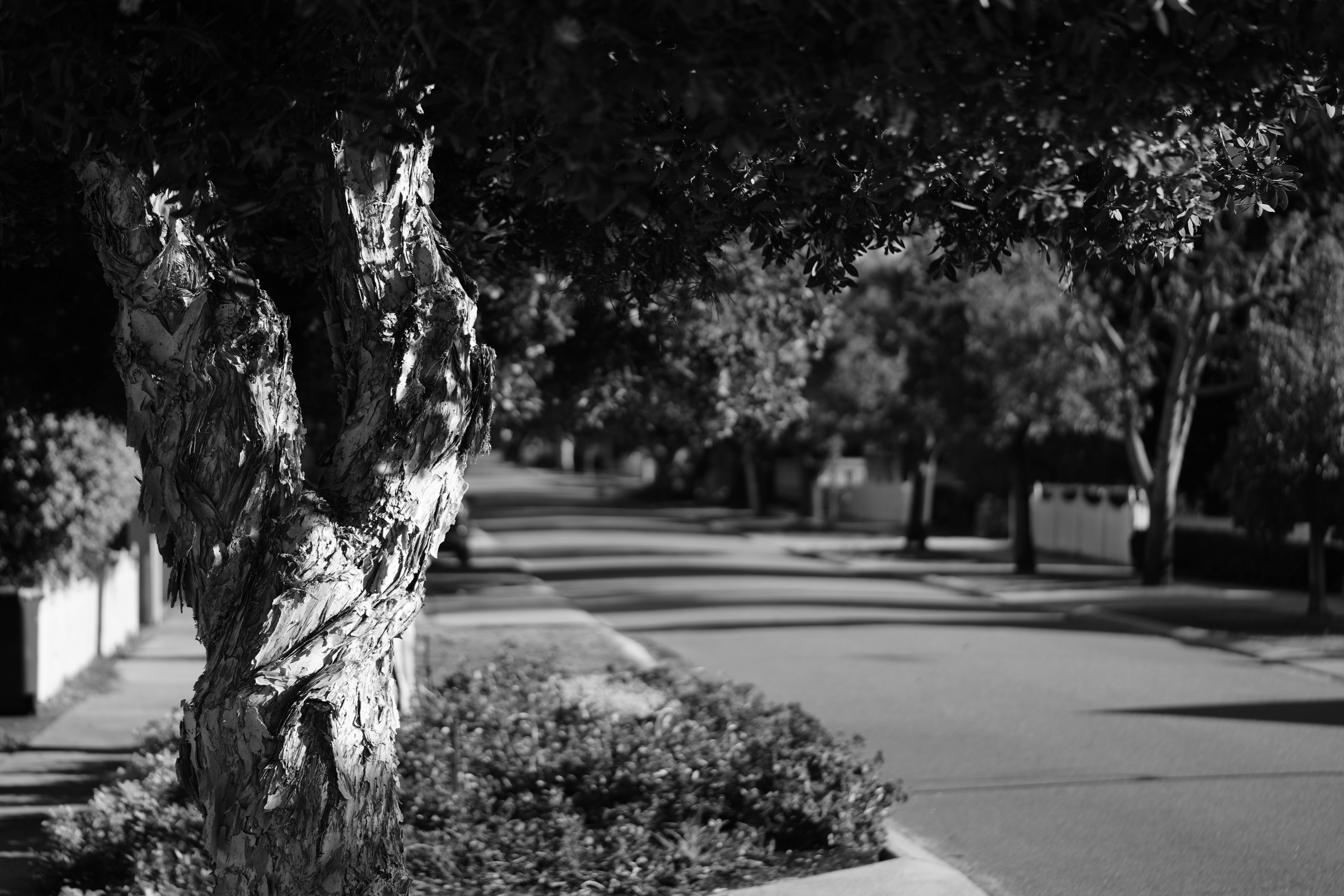 Day Twenty-seven first submission